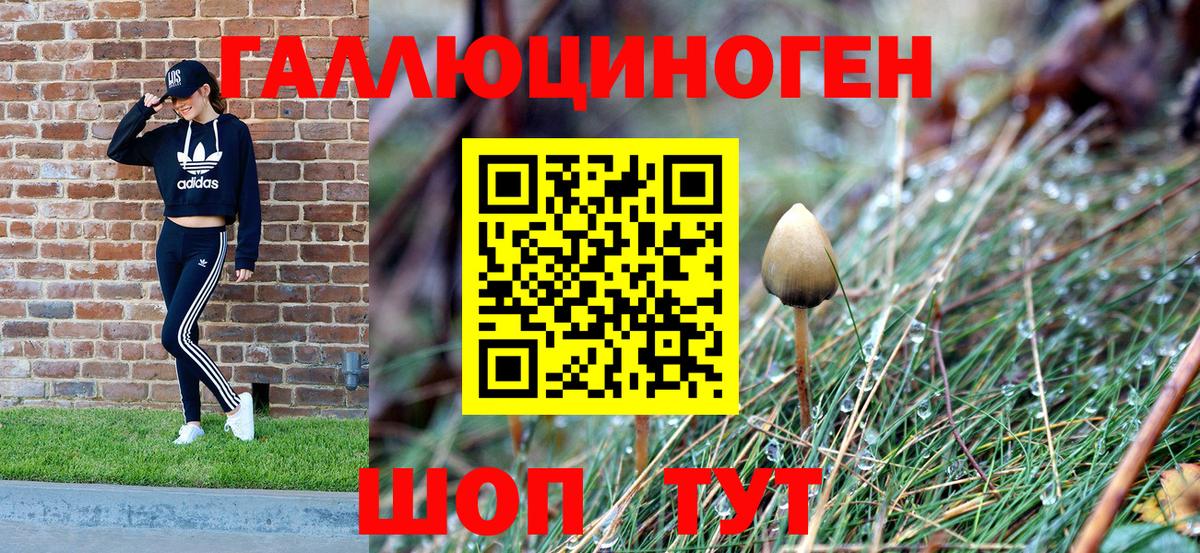 Галлюциногенные грибы Cubensis  Галлюциногенные грибы Psilocybe  Вход с VPN  Тельмана 